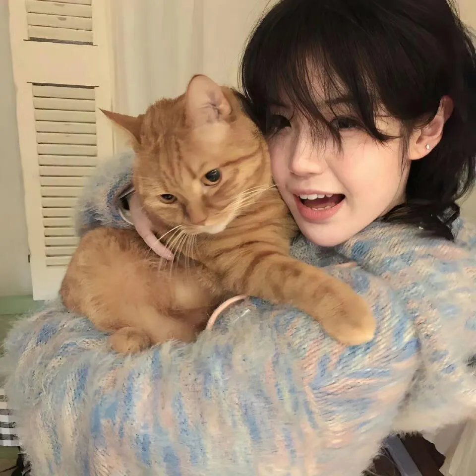 本宫驾到父慈子又孝